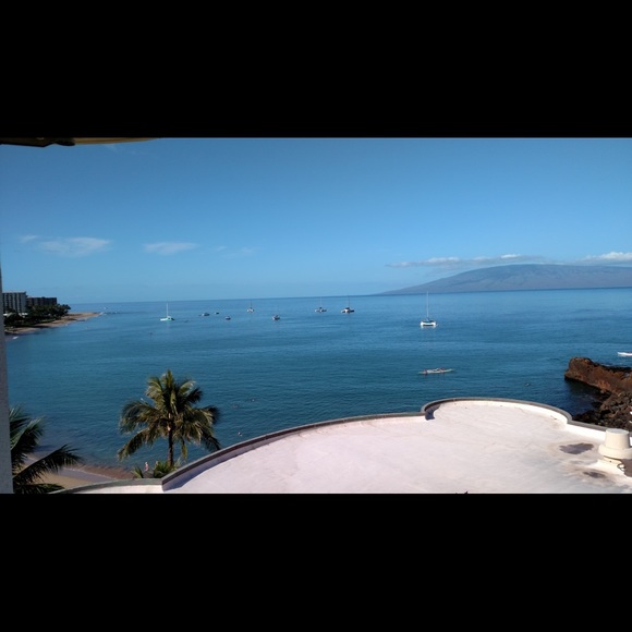 Meet your Posher, Posh - Picture 3 of 14